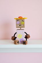 Load image into Gallery viewer, Funky-Bots