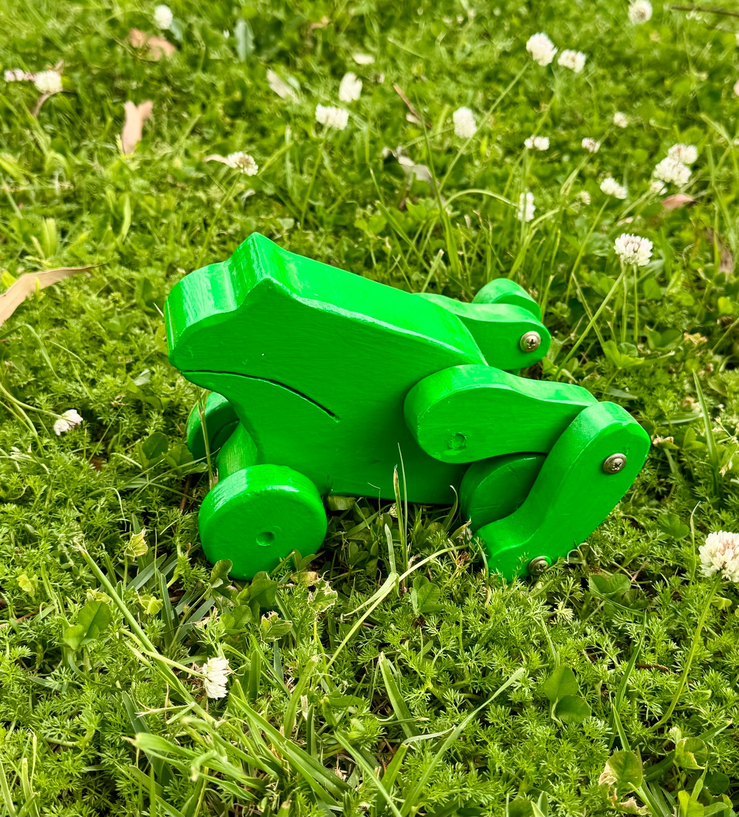 Hopping Frog